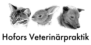 Hofors Veterinärpraktik